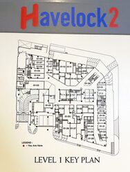 havelock2 photo thumbnail #11